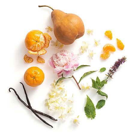 Ready-to-use candle refill - VALERIA (Blackcurrant, Pear, Patchouli & Orange Blossom)