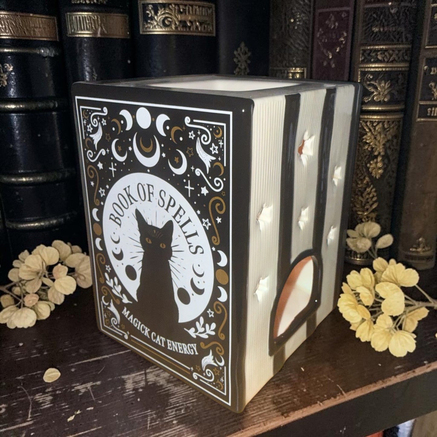 Magick Cat Library – Κεραμικός Wax Burner