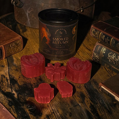 Smoked Autumn Wax Melts 100g | Φθινοπωρινό Άρωμα
