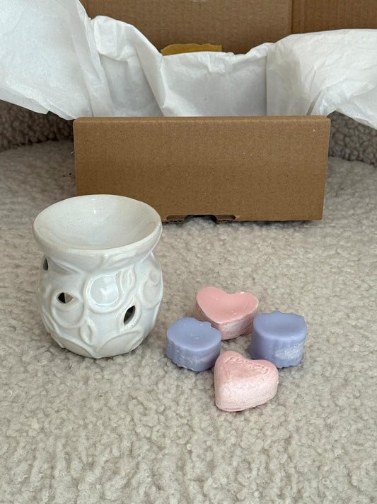 Gift set wax melts & wax melter