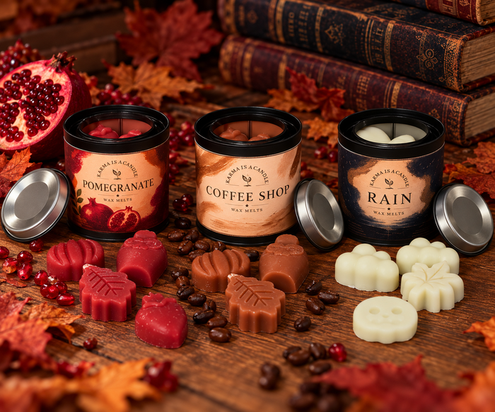 Wax Melts Discovery Trio | Autumnal Edition 🍂