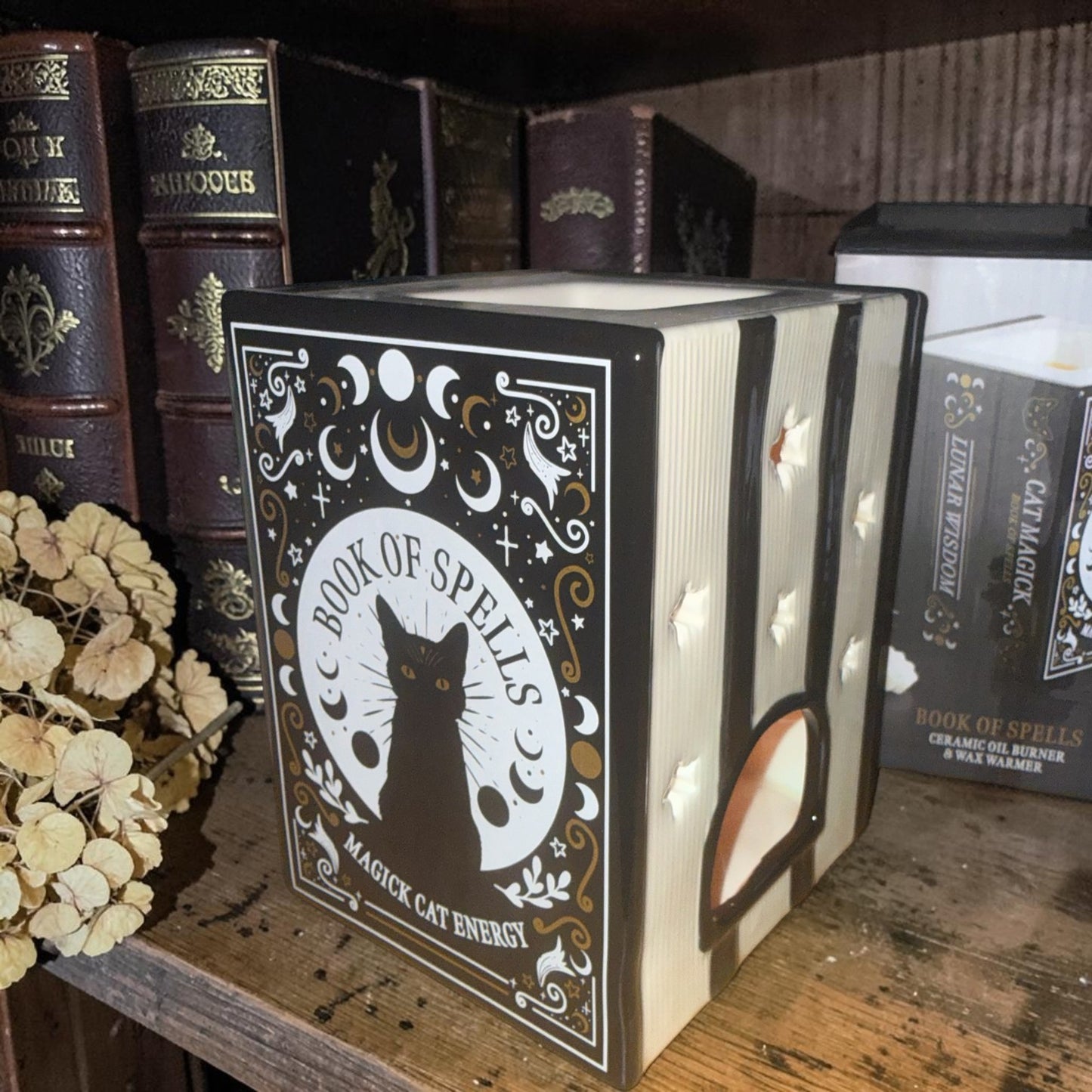 Magick Cat Library – Κεραμικός Wax Burner